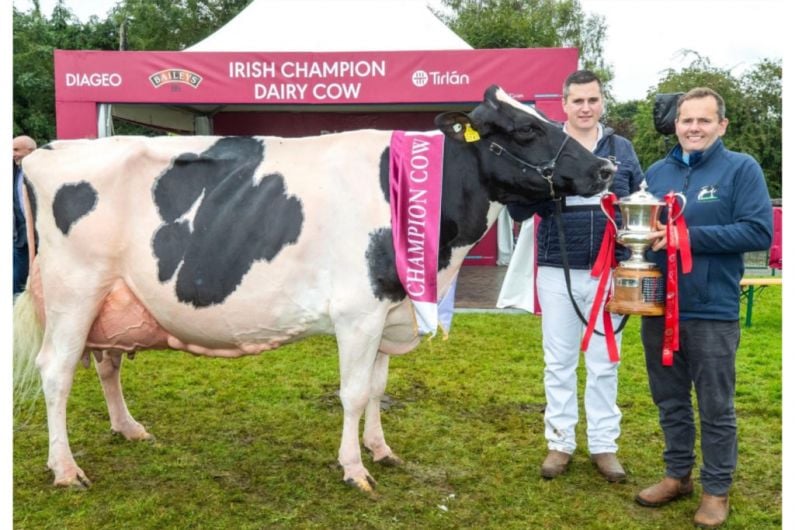 Winning dairy competition like winning an all-Ireland - Monaghan farmer