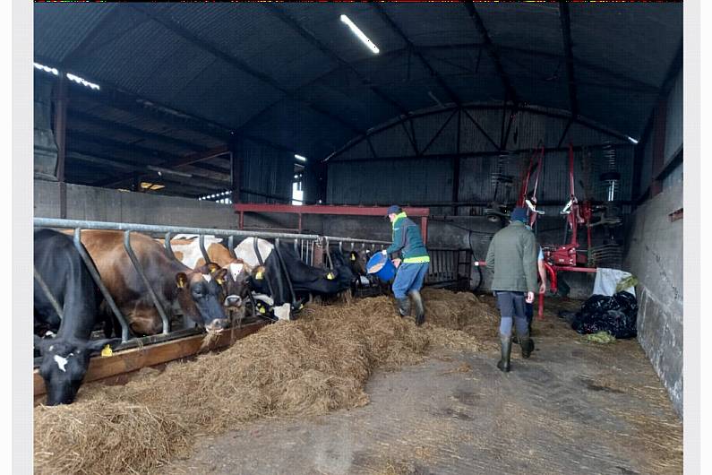 Listen Back: Social Farming Ireland Open Day