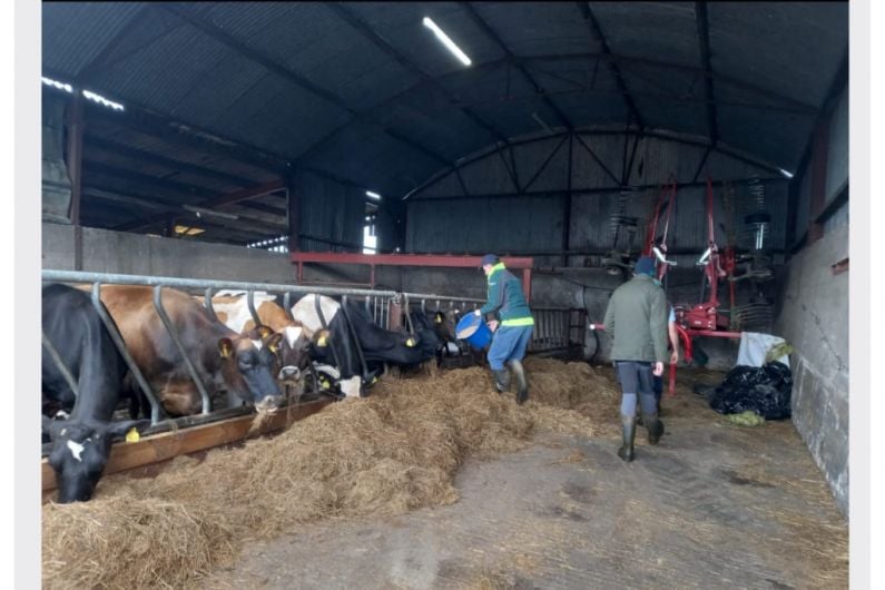 Social Farming open day in Cavan tomorrow