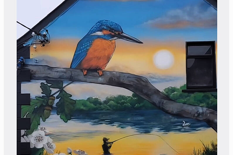 Listen Back: Wonderful murals being displayed in Shercock rounds off great year