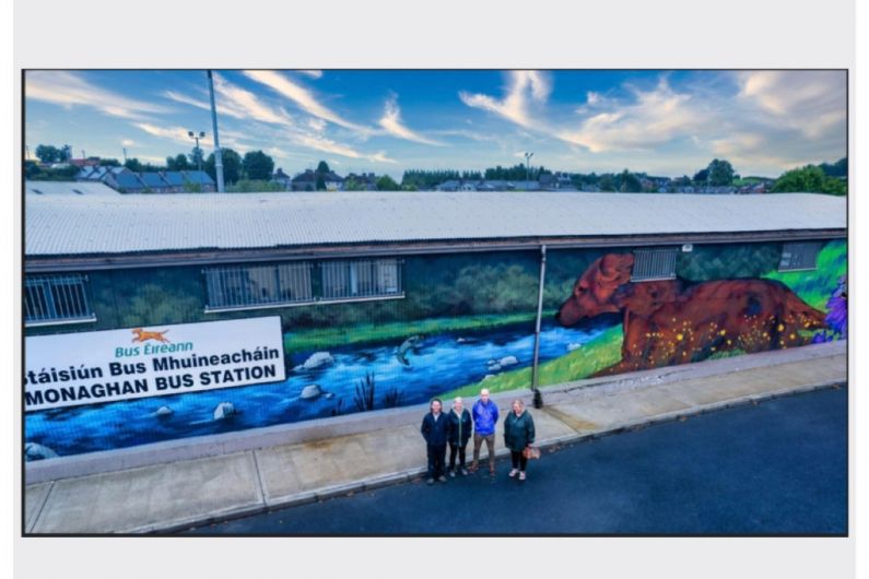 New mural unveiled in Monaghan to celebrate biodiversity
