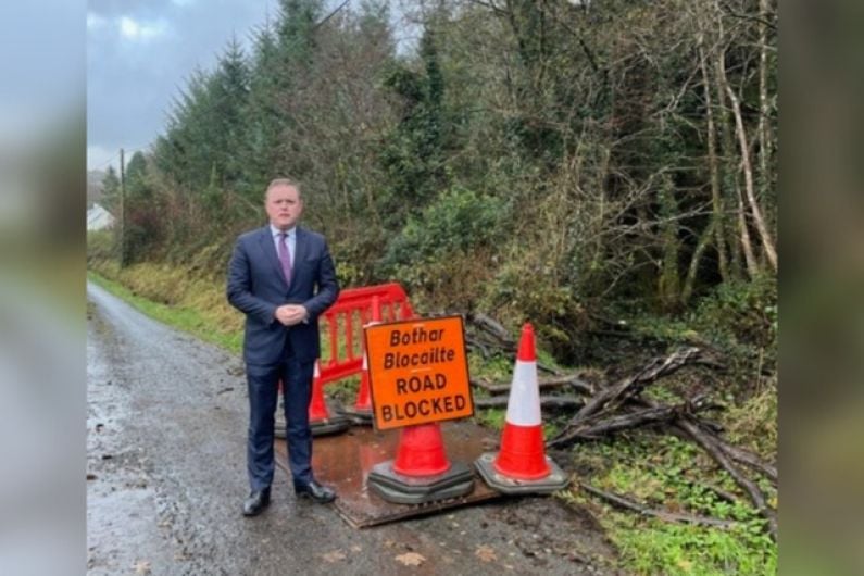 Coillte 'should pay' for damage to Cavan road