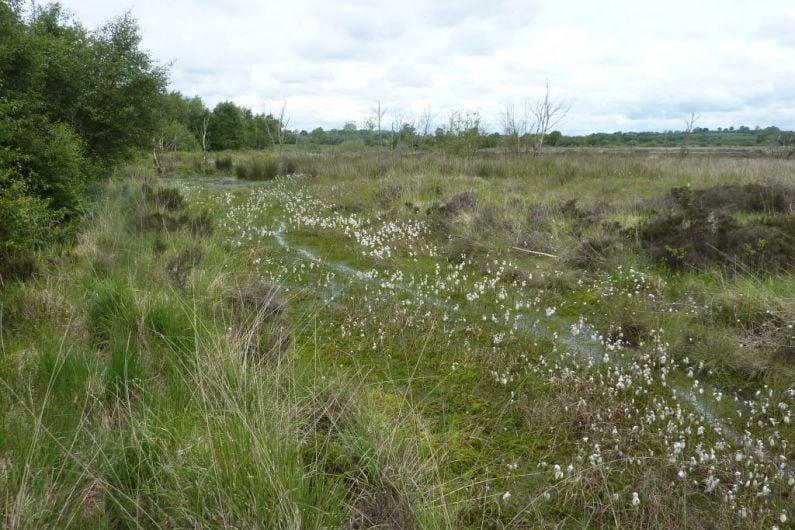 Cavan and Monaghan to share funding for peatlands initiatives