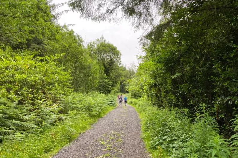Master plan coming to fruition for development of Killykeen Forest Park