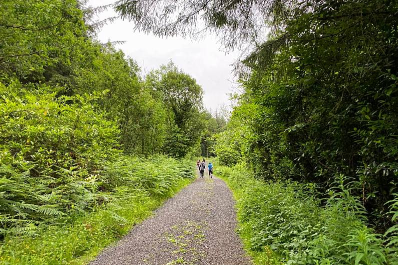 &euro;322,000 announced for local forest park developments