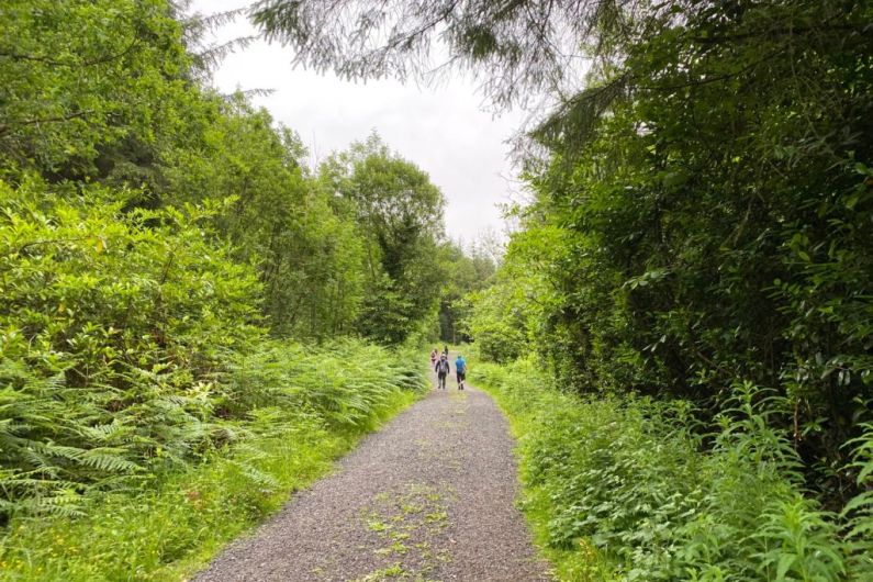 Listen Back: &euro;322,000 announced today for local forest parks