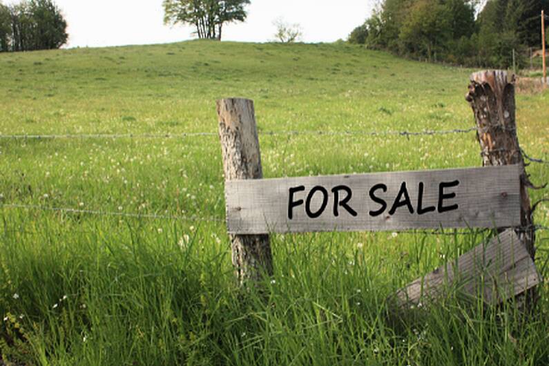 Land prices expected to remain stable, says local auctioneer