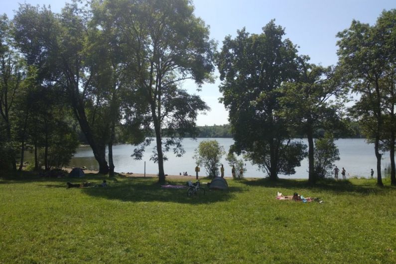 Agencies working together to remove invasive weeds from Lough Oughter