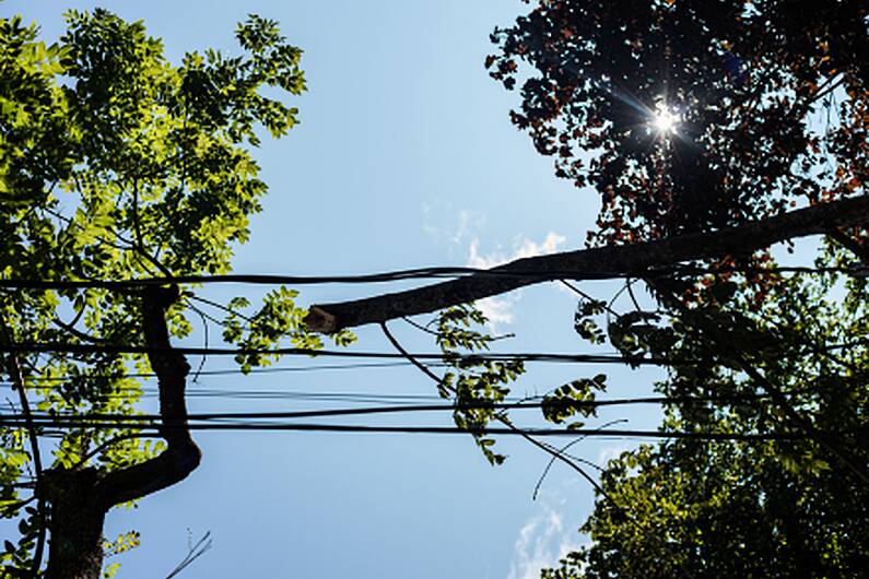 Forestry hampering power restoration in Belturbet area