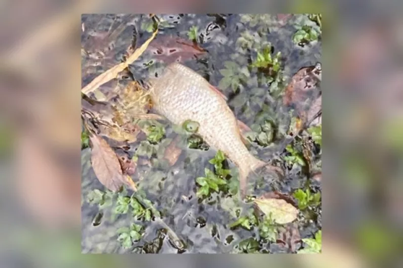 Local anglers &lsquo;frustrated&rsquo; over recent fish kill
