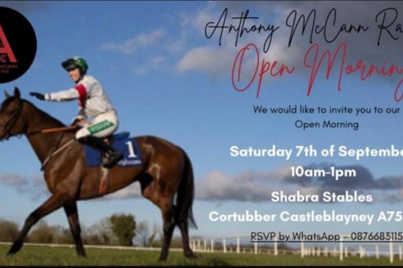 Open day at Shabra Stables