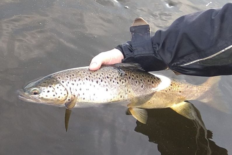 3 men convicted of illegal angling on Lough Sheelin