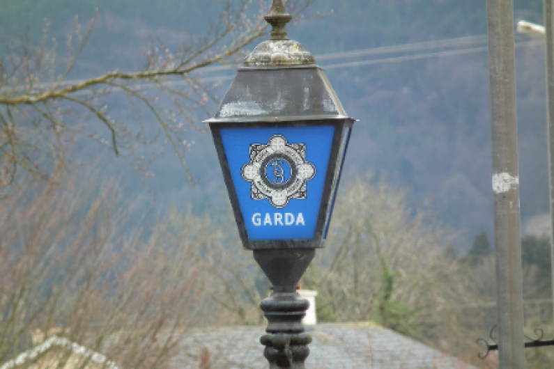 Carrickmacross garda&iacute; continuing to investigate assault on the old Ardee Road