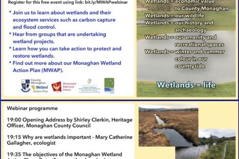 Free webinar taking place this evening on restoring Monaghan's wetlands