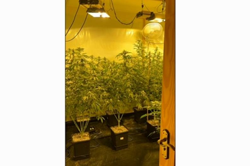 &euro;218,000 worth of cannabis seized in Monaghan