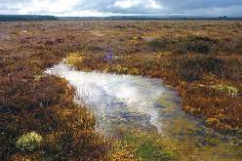 Farmers, food producers and turf cutters 'threatened' by peat regulations