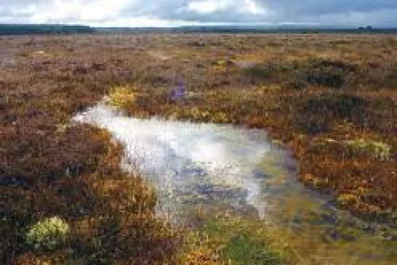 Funding of more than &euro;31,000 announced for local peatlands related projects