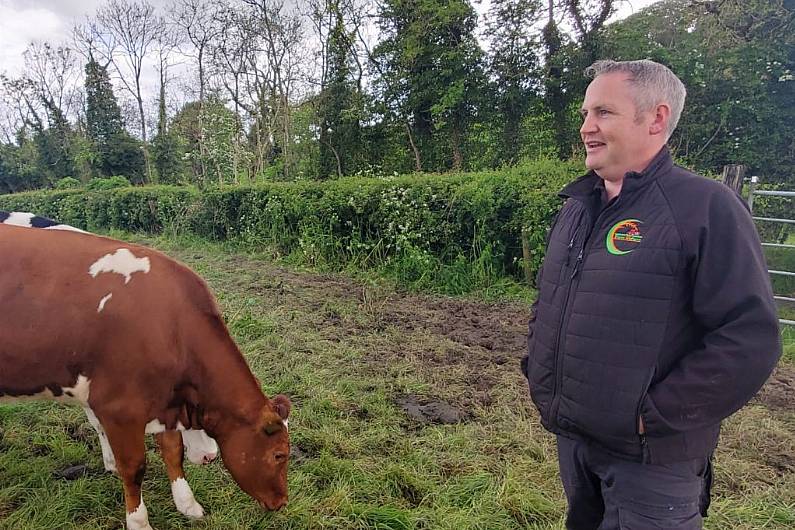 Good news about Cavan General from IFarm WeFarm