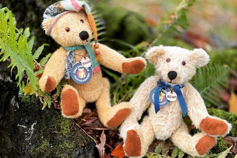 REMINDER: Co Cavan Teddy Bear specialists hitting the small screen