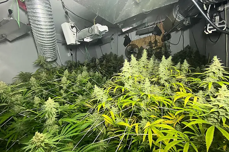 Large quantity of cannabis found in Ballyconnell