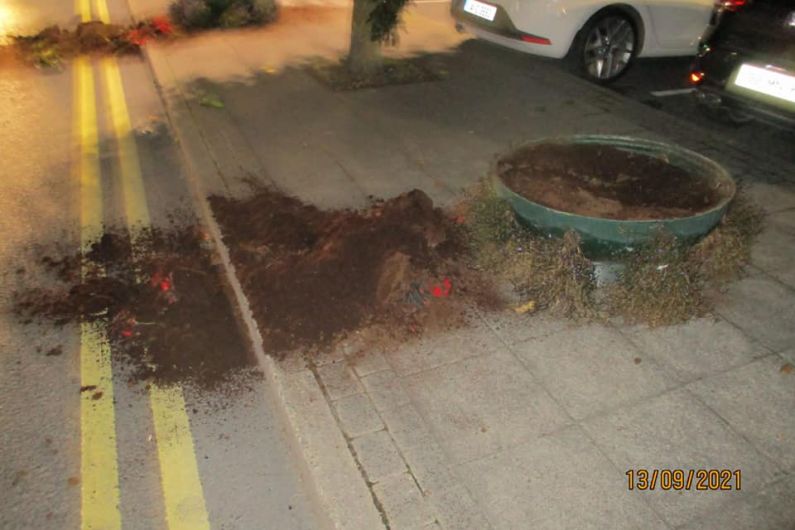 Male "identified and interviewed" in relation to damage caused to Carrickmacross flower pots