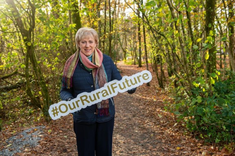Funding of &euro;345,000 announced for local forest parks and outdoor facilities