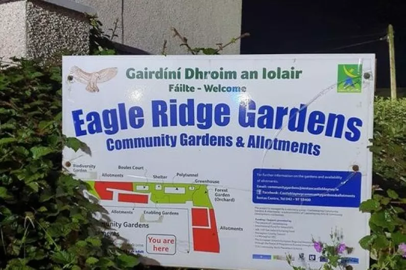 'Thugs' set community garden in Castleblayney on fire