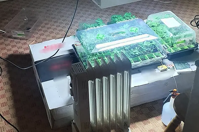 Man arrested following seizure of drugs in Cavan