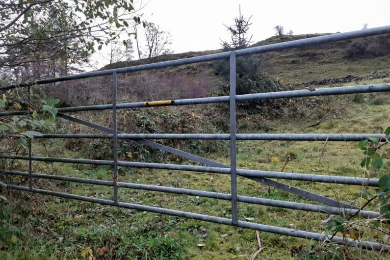 Garda&iacute; investing an incident of agricultural related theft in Co Cavan