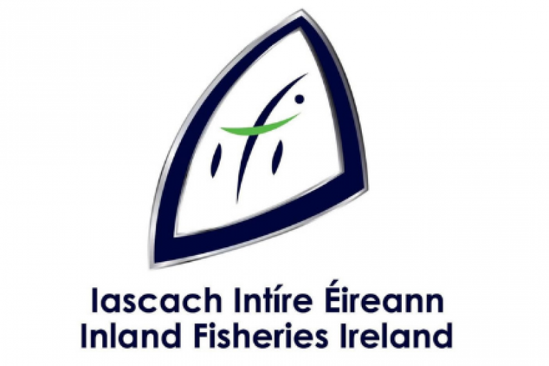 Inland Fisheries Ireland is set to recruit four Seasonal Officers locally