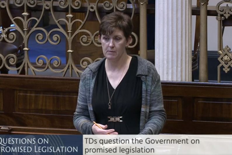 Legal evictions and rent increases are primary drivers of homelessness says local td