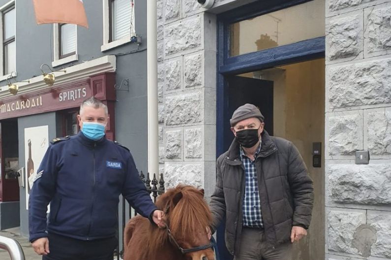 Pony reunited with its owner after being taken into 'custody' by local garda&iacute;