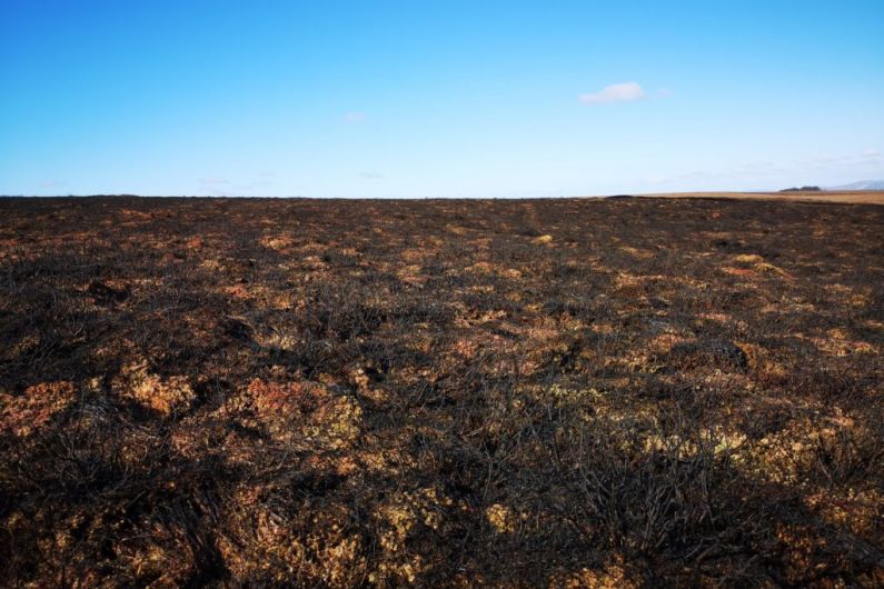 LISTEN BACK: Cross border effort underway to redevelop Sliabh Beagh