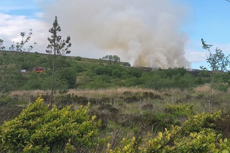 Fire Service praised for quick response to wildfire on Sliabh Beagh at the weekend