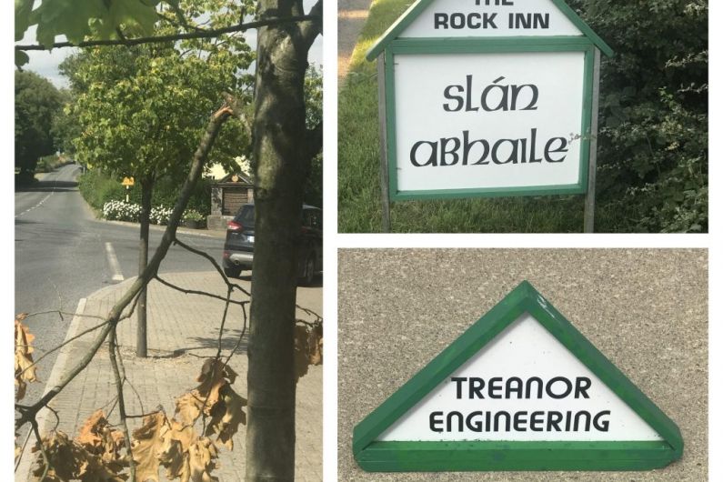 North Monaghan Tidy Towns group hits out at recent vandalism