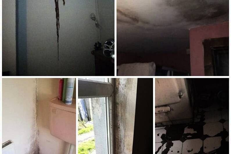 Cavan HAP tenant living in dream home after moving from "condemned" property