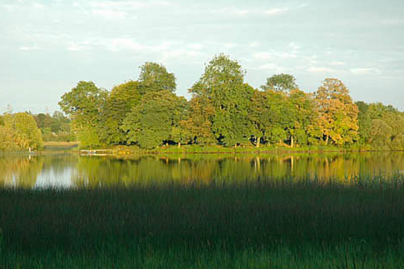 LISTEN BACK: The importance of the Wetlands across Cavan and Monaghan