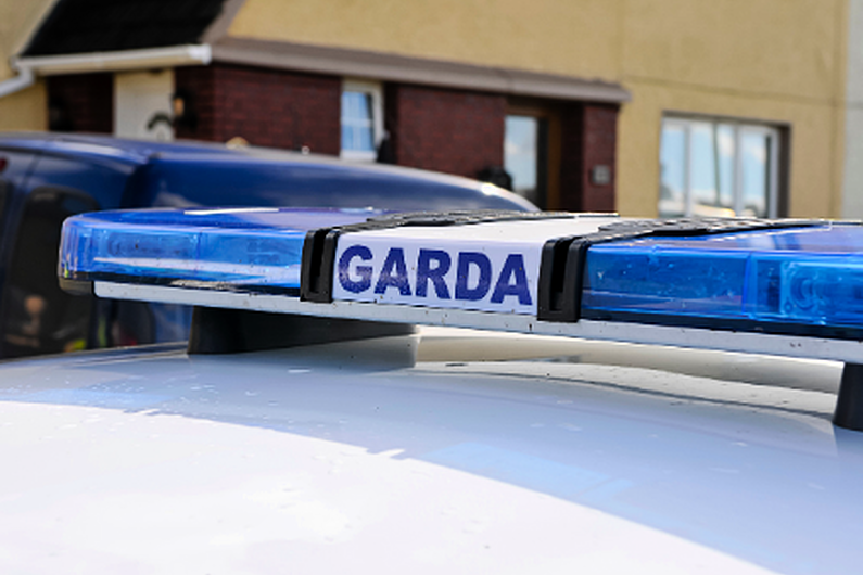Over half a million euro worth of cannabis seized in Roscommon