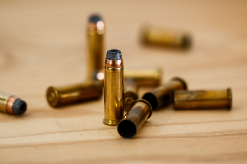 Cavan County Council seeks clarity on new gun laws