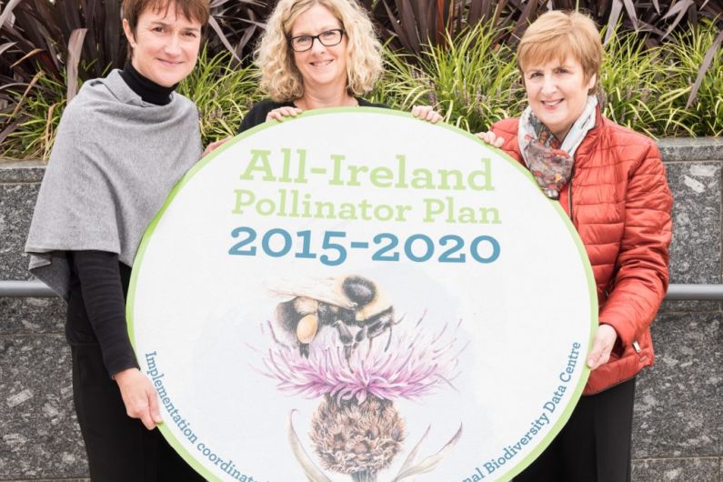 Congrats! Killeshandra wins Tidy Towns Pollinator award