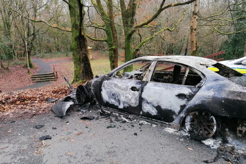 Gardaí in Carrickmacross are appealing for information after a car was found burned out yesterday