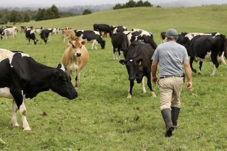 Agriculture Minister says farm incomes will be 'enhanced' despite big drop in emissions