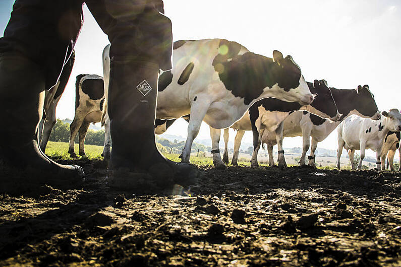 Local MEP says farmers need clarity on how new CAP deal will impact them