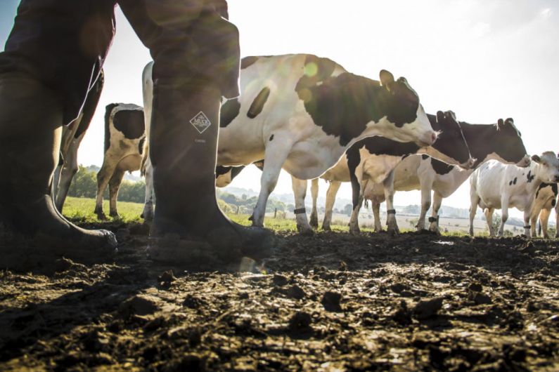 'Biomethane' to offer new income stream for local farmers