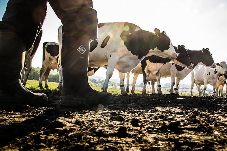 Farmer Wellbeing Boards launched at Cavan mart