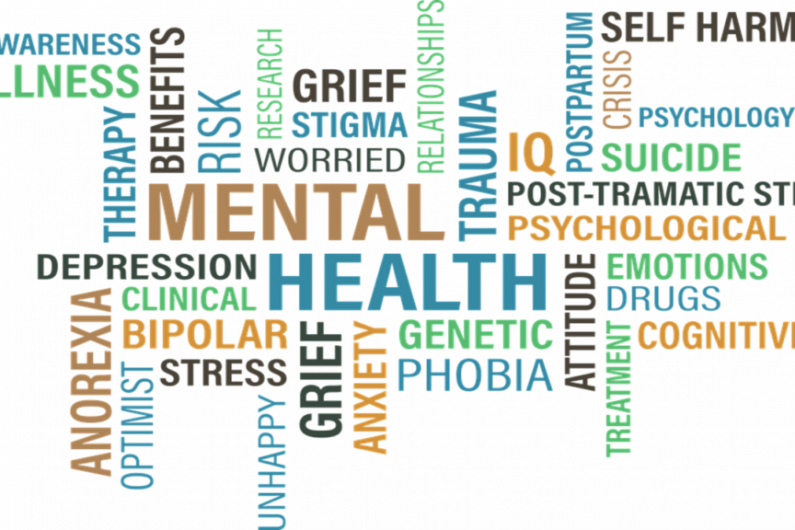 Additional &euro;85 million needed to fund mental health services - Mental Health Ireland
