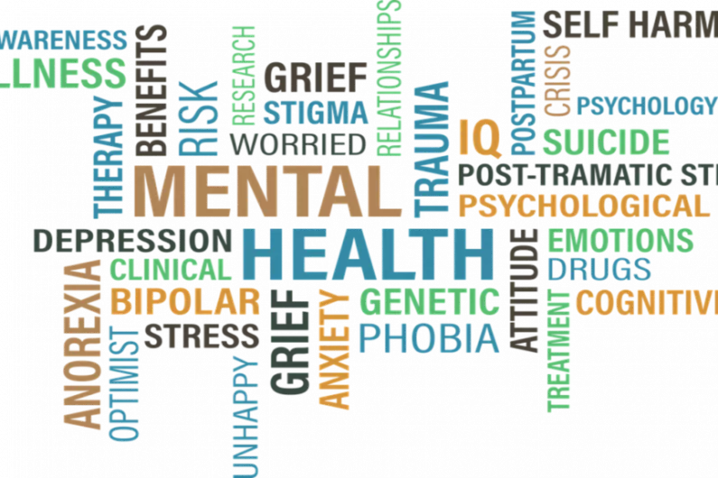 Additional €85 million needed to fund mental health services - Mental Health Ireland