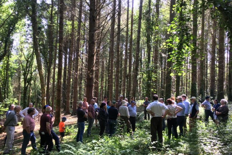 North East Forestry Group joins with eight other forest owner groups to form the Irish Forest Owners