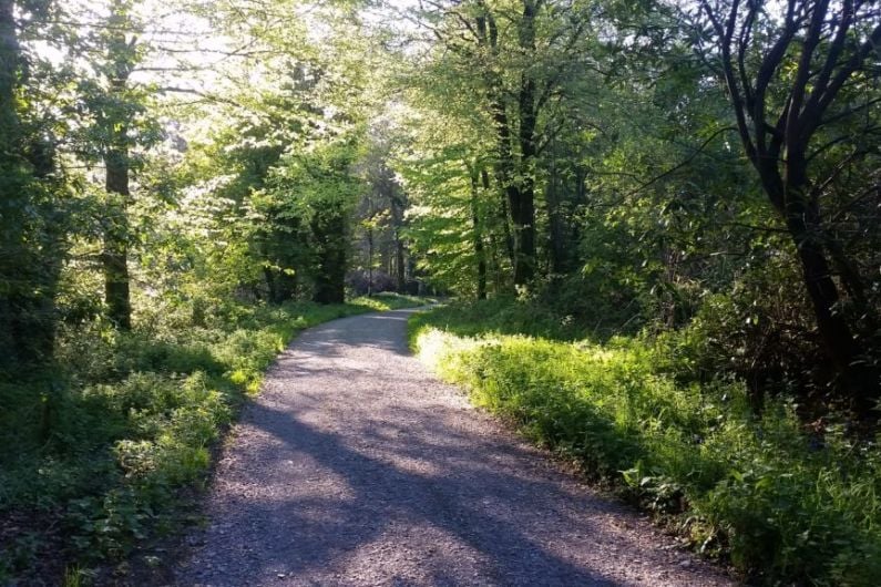 Mental health walk to take place in Rossmore