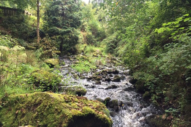 'Water quality is poor in Co Monaghan' - IWT